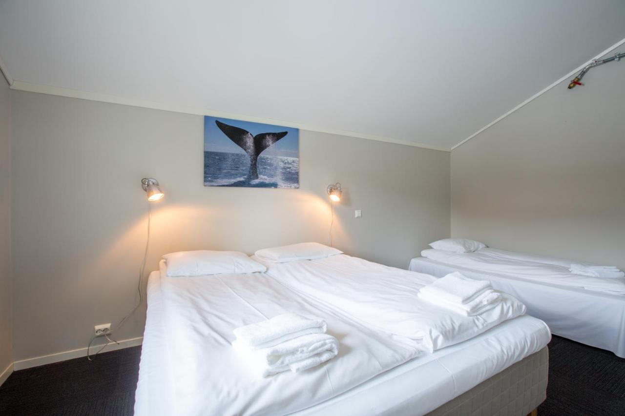 Sauda Fjord Camping Saudasjøen Eksteriør billede
